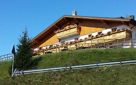 Belvedere Mountain Experience